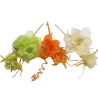 Pick Doppio Fiore in Organza: Eleganza e Versatilità