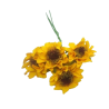 Girasole carta
