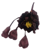 Peonia in Seta con Nastrini