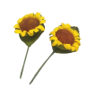 Girasole Con Foglie