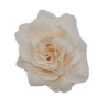 Rosa di stoffa e pizzo con spilla