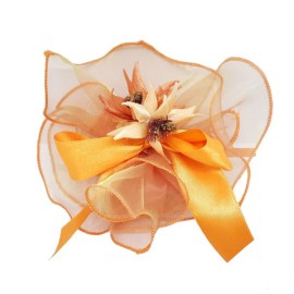 Tulle in Organza colore...