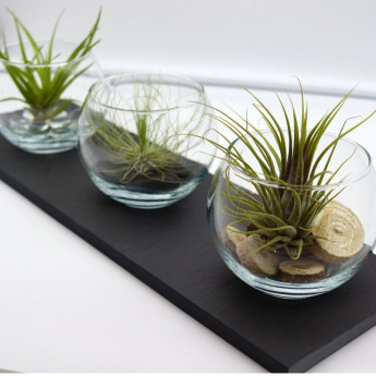 Set Decorativo con 3 Sfere...